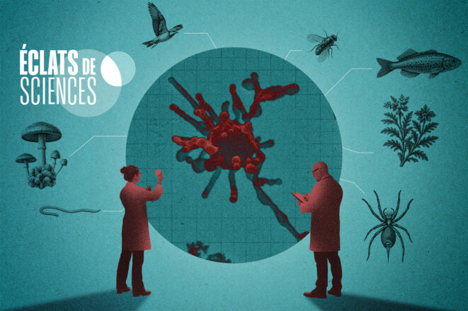 Depuis que la science a prouvé qu'un humain est un « collectif cellulaire », vos 37 trillions d'organismes internes doivent désormais être déclarés en préfecture