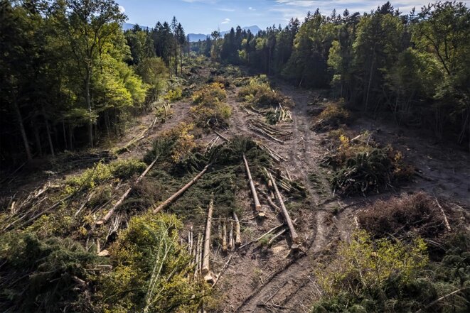 A412 : le tribunal ordonne de protéger la biodiversité tout en continuant à l'écraser, sous peine d'une amende ridicule par hectare détruit